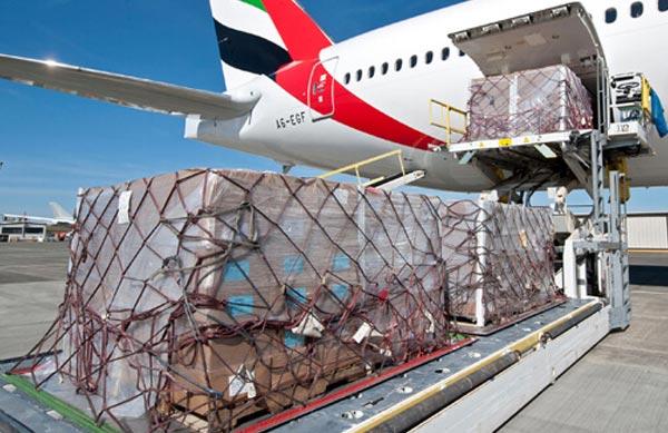Cargo to New Zealand